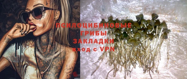 дживик Абинск
