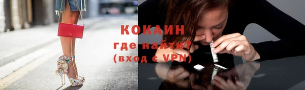 дживик Абинск