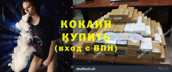 дживик Абинск