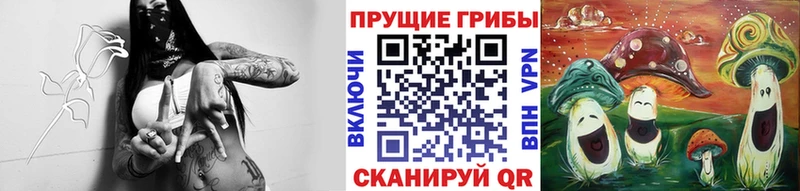 Псилоцибиновые грибы Magic Shrooms дарк нет как зайти Туапсе