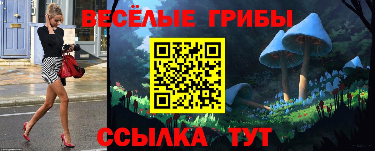 Туапсе  Галлюциногенные грибы Cubensis  Псилоцибиновые грибы GOLDEN TEACHER  Вход с VPN 