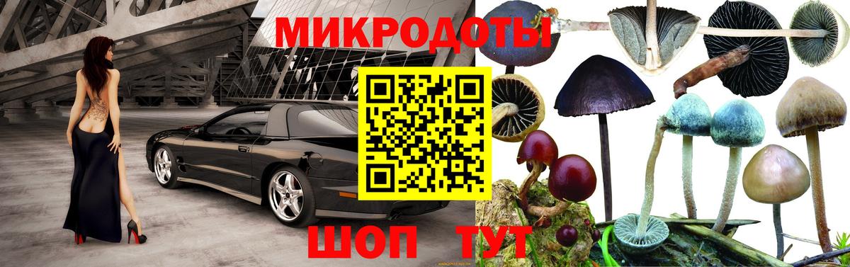 Галлюциногенные грибы прущие грибы Туапсе